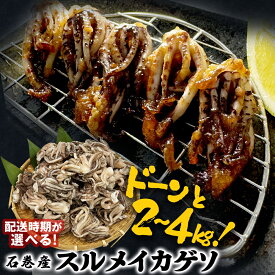 【ふるさと納税】いか ＜訳あり＞ スルメイカ ゲソ 2kg 4kg 配送時期が選べる 宮城県産 冷凍 国産 下足 イカ イカゲソ 唐揚げ いかげそ おつまみ 魚介類 焼イカ バーベキュー BBQ わけあり 不揃い 烏賊 炒め物 フライ ゲソ天 唐揚げ イカゲソ2kg イカゲソ4kg 宮城県 石巻市