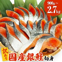 ふるさと納税 訳ありなのは梱包だけ！味は一級品の旨さ！国産銀鮭を冷凍でお届...