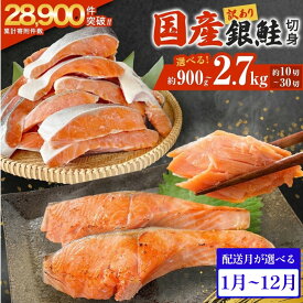 【ふるさと納税】訳あり 国産 銀鮭 切身 ＜内容量と配送月が選べる＞ 0.9kg 1.8kg 2.7kg 配送月指定 鮭 切り身 銀鮭 簡易梱包 冷凍 定塩加工 不揃い 厚切り 肉厚 家庭用 サーモン 塩鮭 しゃけ シャケ 焼き魚 魚介類 魚 さけ おかず 宮城県 石巻市 石巻 宮城 感謝