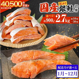 【ふるさと納税】訳あり 国産 銀鮭 切身 ＜内容量と配送月が選べる＞ 0.9kg 1.8kg 2.7kg 配送月指定 鮭 切り身 銀鮭 簡易梱包 冷凍 定塩加工 不揃い 厚切り 肉厚 家庭用 サーモン 塩鮭 しゃけ シャケ 焼き魚 魚介類 魚 さけ おかず 宮城県 石巻市 石巻 宮城 感謝