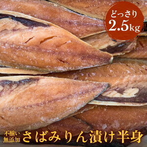 yӂ邳Ɣ[Łz󂠂聄 Y ΂݂Ђgi ǂ 2.5kg j s To  I Ⓚ  t Ђ ؐg tB TotB tB[ ؂g ȒP ۑF