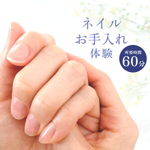 yӂ邳Ɣ[ŁzlC {  PA ̌ `Pbg lCT lCXg  Ô Ô珈 T fUC