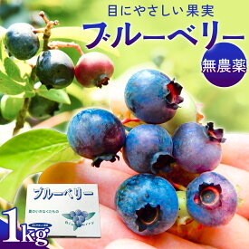 【ふるさと納税】＜先行予約＞ブルーベリー (1kg) 箱入り 生 無農薬 化学肥料不使用 摘みたて 冷蔵 大粒 濃厚 フルーツ 果物 自然栽培 無農薬 化学肥料不使用