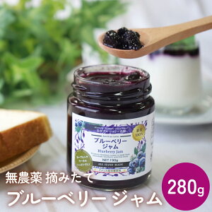 yӂ邳Ɣ[Łzu[x[W 280g Y E݂  ʎ 100% AgVAjgbsO