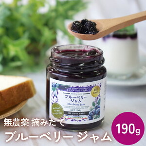 yӂ邳Ɣ[Łzu[x[W 190g Y E݂  ʎ 100% AgVAj gbsO