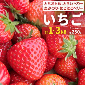 �y�ӂ邳�Ɣ[�Łz�y2026�N1�����{�����J�n�z ������ �Ƃ����Ƃ� ���݂̂� �ɂ��ɂ��x���[ �Ƃ炢�ׂ�[ 4 - 12 �e250g �I�ׂ� � �C�`�S �t���[�c �ʕ� �X�g���x���[ �x���[ �f�U�[�g �Â� �_�� 