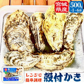 【ふるさと納税】《内容量が選べる》レンジで簡単調理 殻付きかき 500g 1P - 6P 冷凍 宮城県産 殻付き 簡単調理 BBQ 牡蠣 カキ 加熱用 蒸し牡蠣 焼き牡蠣 三陸 海鮮 魚介 海鮮物 BBQ バーベキュー キャンプ お取り寄せ レンチン 時短調理 宮城県 石巻市 14日以内