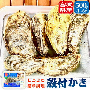 yӂ邳Ɣ[ŁzseʂIׂtWŊȒP kt 500g 1P - 6P Ⓚ {錧Y kt ȒP BBQ y JL Mp y Ăy O CN  CN BBQ o[xL[ 