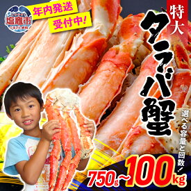【ふるさと納税】タラバガニ 年末配送 選べる配送時期 特大 ボイル タラバ蟹 750g 1kg 2kg 3kg 5kg 10kg 100kg たらば蟹 たらばがに 年内 年内発送 タラバカニ 蟹 カニ脚 かに カニ カニ鍋 焼き蟹 海産物 ボイル 無添加 茹で 冷凍 塩竈市 塩釜市 お歳暮 ギフト 贈答 YAMATO