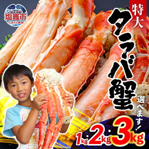 yӂ邳Ɣ[Łz12t! ^oKj  {C ^oI 1kg 2kg 3kg ΊI ΂ ΂ ^oJj Jj ĂI CY {C 䥂 Ⓚ }s s N N