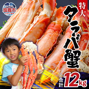yӂ邳Ɣ[Łz ^oKj  {C ^oI 6kg 9kg 12kg ΊI tw ΂ ΂ ^oJj Jj ĂI CY {C 䥂 Ⓚ }s s {錧 ^YAMATO 