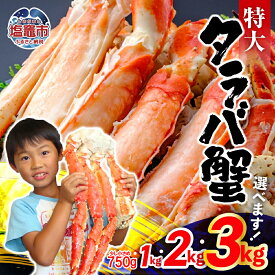【ふるさと納税】タラバガニ 特大 ボイル タラバ蟹 750g 1kg 2kg 3kg たらば蟹 たらばがに たらばかに タラバカニ カニ鍋 焼き蟹 海産物 ボイル 無添加 茹で 冷凍 塩竈市 塩釜市 先行予約 YAMATO