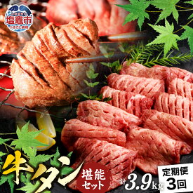 【ふるさと納税】 定期便 本場牛タン堪能贅沢セット（全3回） 国産黒毛牛 国産牛 牛肉 牛タン 黒タン 焼肉 さとう精肉店 塩竈市 塩釜市 宮城県