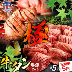 【ふるさと納税】 定期便 本場牛タン堪能贅沢セット・極（全5回） 塩竈市 塩釜市 さとう精肉店