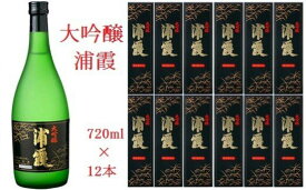 【ふるさと納税】【塩竈】浦霞大吟醸　1ダース　【相原酒店】【04203-0009】