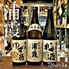 【ふるさと納税】 日本酒 「浦霞」3本 飲み比べ ( 純米酒 梅酒 ゆず酒 ) 720ml×3 BASE純米セット お酒 酒 sake 日本酒 飲み比べ 浦霞 佐浦酒造 宮城県 塩竈市 塩釜市 相原酒店