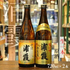 【ふるさと納税】日本酒 飲み比べ 2本セット「浦霞」 特別純米酒 原酒 (720ml×2)お酒 酒 sake 日本酒 飲み比べ 浦霞 佐浦酒造 純米酒 原酒 宮城県 塩竈市 塩釜市 相原酒店