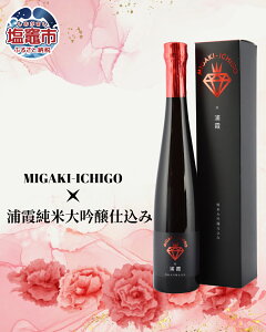 yӂ邳Ɣ[ŁzMIGAKI-ICHIGO × Y đd 375ml | Mtg v[g { n {   sake X {錧 }s s ~KLC`S   蕨 lC 