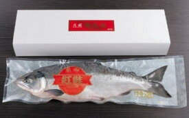 【ふるさと納税】甘塩紅鮭1尾 特特サイズ 塩竈市 塩釜市