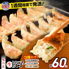 【ふるさと納税】本格生餃子3種類詰め合わせ60個（12人前） 餃子 味の匠 ｜ チーズ餃子 エビ餃子 海老餃子 チーズ生餃子 エビ生餃子 海老生餃子 国産小麦使用 味の匠 タクミホールディングス 宮城県 塩竈市 塩釜市 東北