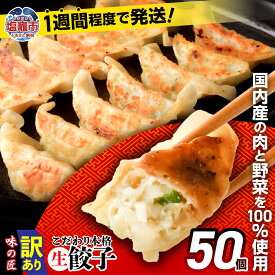 【ふるさと納税】高評価 訳あり 餃子 選べる量 40個 50個 100個 規格外 無添加 最短発送 宮城県産 豚肉 冷凍 こだわり 本格 生餃子 楽天限定 無添加 味の匠 不揃い 冷凍餃子 ギョーザ ギョウザ 宮城県 塩竈市 塩釜市 楽天限定 タクミホールディングス