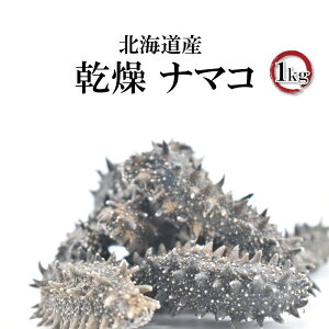 yӂ邳Ɣ[ŁzkCY  i}R 1kg CQ  H  Ȃ܂ Cl GXGXt[Y  { }