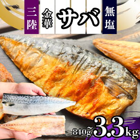 【ふるさと納税】 鯖 さば 無添加 国産 無塩 金華さば 選べる (840g/2.2kg/3.3kg) 選べる 定期便 2〜12回 フィレ 冷凍 バラ凍結 三陸産 国産鯖 食品 大容量 人気 魚 魚介 魚貝 海鮮 弁当 惣菜 おかず おつまみ お取り寄せ グルメ 送料無料 鯖 サバ 塩竈市 塩釜 三波食品