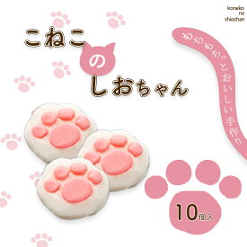 【ふるさと納税】こねこのしおちゃん　10個入　【04203-0774】 しおがま 塩竈市 生菓子 お菓子 猫 肉球 スイーツ 宮城 送料無料 ギフト 贈り物 プレゼント NEKO竈