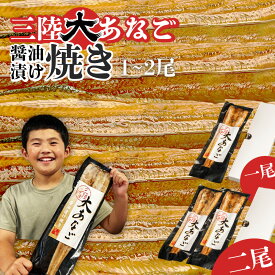 【ふるさと納税】≪プレミアム≫ 国産 大 あなご 醤油漬け 焼き 1尾〜2尾 冷凍 宮城県産 穴子 ｜ 調理済み あたためるだけ レンジでチン レンチン 時短 アナゴ 穴子丼 魚介類 海産 おつまみ おかず 宮城県 塩竈市 塩釜市 三晃食品