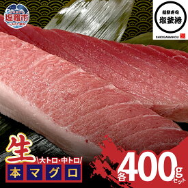 【ふるさと納税】 大トロ 中トロ マグロ 800g 柵 生本マグロ セット まぐろ 鮪 トロ 大とろ 中とろ 各400g セット 年末年始 おすすめ 絶品 宮城県 塩竈市 廻鮮寿司塩釜港 塩釜本店 6万円 60000円 |【kz00005-400g】