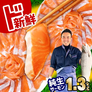 yӂ邳Ɣ[Łz T[ Y T[  g  1.3kg  H T[hg ㎿̎ mEF[Y VN 4pbN Ȃ Ȃ  hg   TP VP