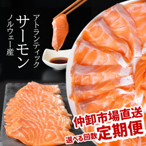 yӂ邳Ɣ[Łz  12 ` 3 T[ Y T[  g  1.3kg×  hgp ㎿̎ mEF[Y VN 4pbN Ȃ Ȃ XX hg  