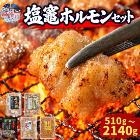 【ふるさと納税】元祖塩竈ホルモンセット もつ鍋 焼肉 選べるセット 味付き 牛肉 豚 お肉 牛もつ モツ もつ ホルモン 焼き肉 宮城県 塩竈市 ビセラル株式会社 bs00001