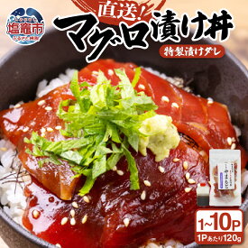【ふるさと納税】 【直送マグロ使用】まぐろパック 特製漬けタレ付き お試し 120g×(1~10パック) 塩竈市 塩釜 TUNA まぐろ屋やまもと | tu00001