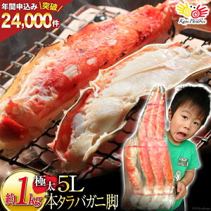 yӂ邳Ɣ[Łz { ^oKj r {C 1kg ɑ5LTCY [Jl_C {錧 Cs 20564323] Jj  I ΂ ΊI ^oI  ^o {C