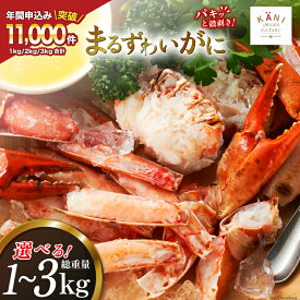 【ふるさと納税】 大人気！リピーター続出 まるずわいがに 肩脚肉 【内容量が選べる】[カネダイ 宮城県 気仙沼市 20564327] かに カニ かに物語 まるズワイガニ 丸ずわいがに マルズワイガニ 蟹 ずわい 魚介 魚介類 1kg 2kg 3kg