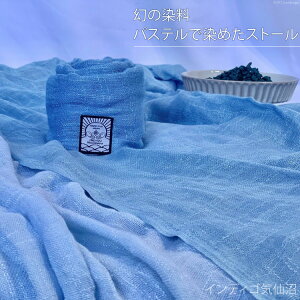 yӂ邳Ɣ[Łz ̐pXeŐ߂Xg[ [CfBSC {錧 Cs 20563502]  g fB[X Y jp jZbNX