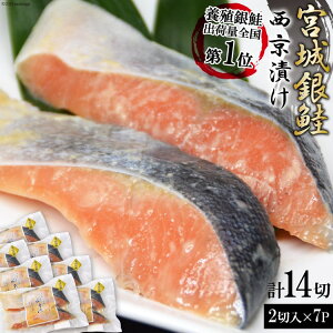 宮城銀鮭の西京漬け 2切入×7パック＜カネダイ＞