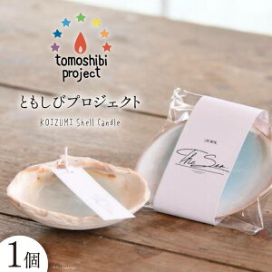 yӂ邳Ɣ[Łz C̊CC[WLh KOIZUMI Shell Candle 1 [Nr.12iƂуvWFNgj {錧 Cs 20563585] Lh  킢 JCC
