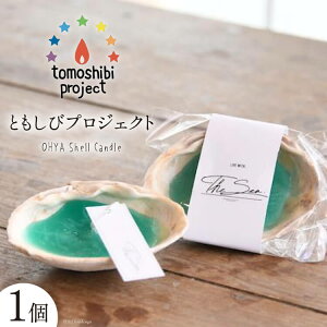yӂ邳Ɣ[Łz C̊CC[WLh OHYA Shell Candle 1 [Nr.12iƂуvWFNgj {錧 Cs 20563587] Lh  킢 JCC
