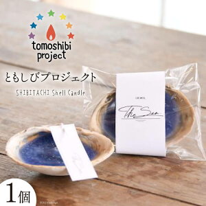 yӂ邳Ɣ[Łz C̊CC[WLh SHIBITACHI Shell Candle 1 [Nr.12iƂуvWFNgj {錧 Cs 20563588] Lh  킢 JCC