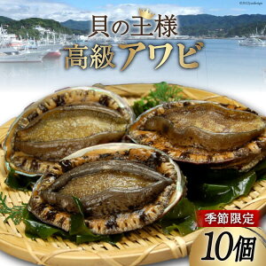 yӂ邳Ɣ[Łz yԌ蔭z OY Ar 10 [肭݂炢 {錧 Cs 20564206] L    G]Ar Gߌ Ԍ  ①