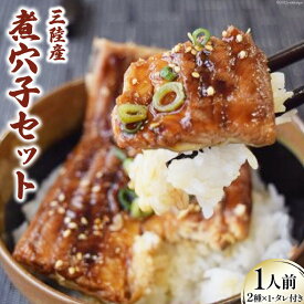 【ふるさと納税】煮穴子 セット 1人前 無添加 秘伝のタレ付き 三陸産 あなご プレゼント ギフト 贈り物 お歳暮 お中元 [さんりくみらい 宮城県 気仙沼市 20562418]