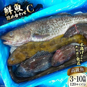 yӂ邳Ɣ[Łz N lߍ킹 C 3`10 120TCY [肭݂炢 {錧 Cs 20563533] Yn {   