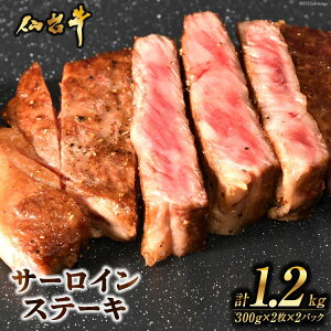yӂ邳Ɣ[Łz  Xe[L 䋍T[CXe[Lv1.2kg [CsYU {錧 Cs 20565271] 䋍 uh