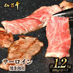yӂ邳Ɣ[Łz  ē 䋍T[CĂp1.2kg [CsYU {錧 Cs 20565270] 䋍 ~ uh