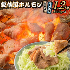 【ふるさと納税】 焼肉 ホルモン 気仙沼ホルモン みそ味・しお味300g×各2個 計1.2kg 【からくわ精肉店】 [気仙沼市物産振興協会 宮城県 気仙沼市 20565267] 精肉 お肉