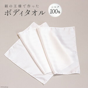 yӂ邳Ɣ[Łz ̉lō p{fB^I 1 VN100 [͂̍H[ {錧 Cs 20563729]  L