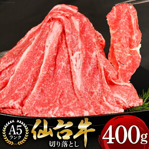 yӂ邳Ɣ[Łz y䋍 A-5Nz؂藎Ƃ 400g [CsYU {錧 Cs 20565230]   uh T[C T[CXe[L Xe[L A5 A5N Ⓚ