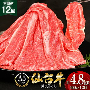 yӂ邳Ɣ[Łz 12   䋍 A5 ؂藎Ƃ 400g×12 v4.8kg [CsYU {錧 Cs 20565326]  a јa Ⓚ 12